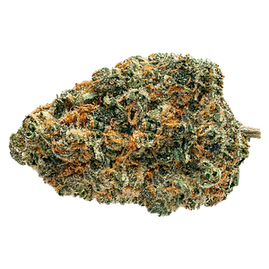 Soar - Biscotti Squeeze