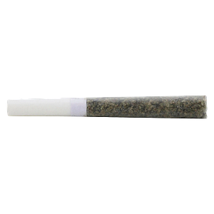 Pure Laine - Smoothies Carbon Tip Pre-Roll (Sativa)