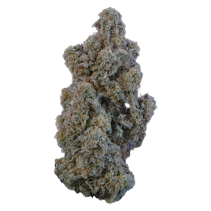 VOLO - Marshmallow Milk