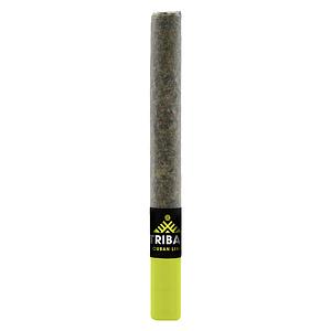Tribal - Cuban Linx Ceramic Tip Pre-Roll