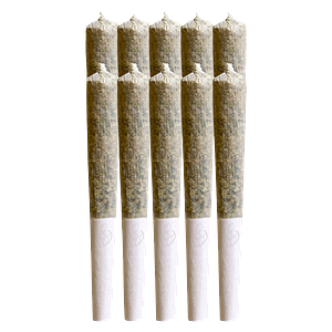 Sana'a - Florida Sunrise Pre Roll