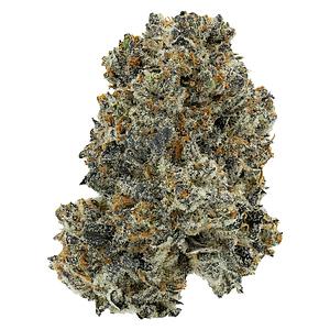 Crooked Dory - Dreamcatcher