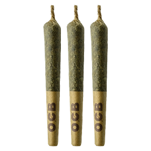 Coterie - Pink Rose #4 Pre-Roll