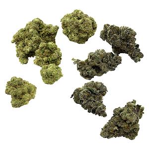 Purple Hills Presents - VCC