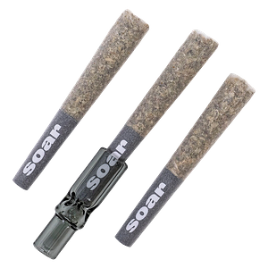 Soar - C99 Haze Pre-Rolls