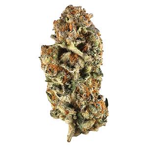 Station House - Canadian Northern Series