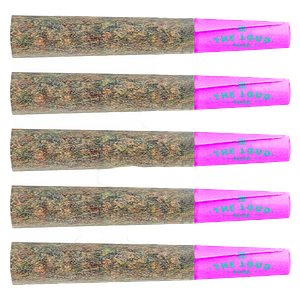 The Loud Plug - Purple Rain Pre Roll