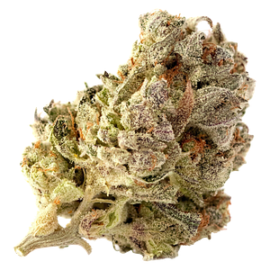 Highland Special - Cherry Park Pie