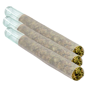 Puffer's Paradise - Honah Lee Haze Glass Tip Pre Roll