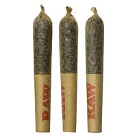 Dab Bods - Guava Dawg Disti Joints