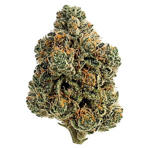 Tiki Madman - Breeders Stash