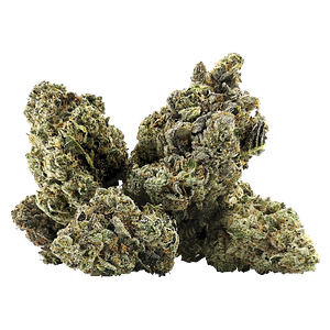 BC Black - Galactica Og