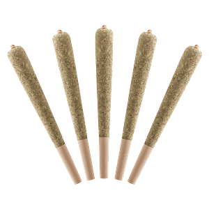 Standard Issue - Watermelon Infused Pre Roll