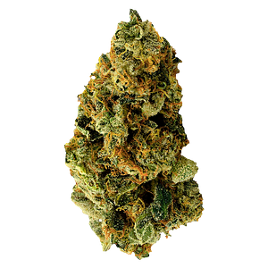 TERPi - Tropical Bliss