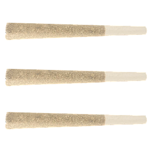 North of 28 - Apes In Space Pre Roll