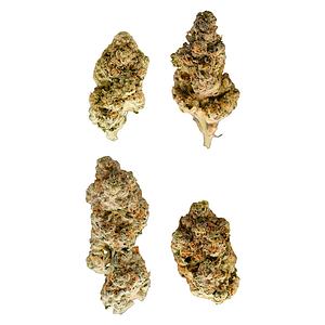 Terp Nerdz - Bag of Nerdz