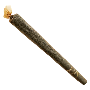 Caviar Gold - Apple Drip OG Distillate Infused Pre Roll