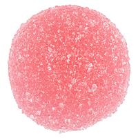 SPOT - Tropical Berry Blast Indica