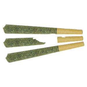 Little Leaf - Stratford's Craft Pre-Roll Experience