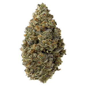 FOUR54 - Hawaiian Marker