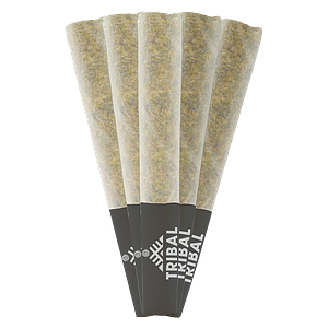 Tribal - Triple Burger Pre Roll