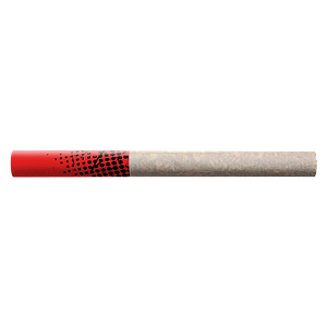 Big Bag O' Buds - Tropicanna Tangie Tube Style Pre Roll