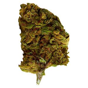 Versus - Bubba Kush