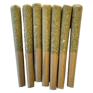 Noodz - Profile - Tropical Pre-roll