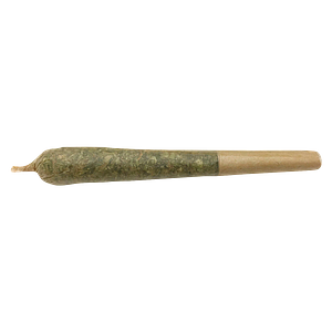 Mailman - Future Island Pre-Roll