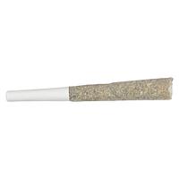 Soul Rebel - The Point Five Pre Roll