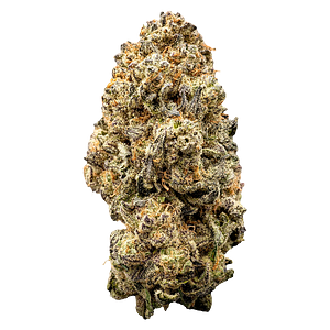 WAZA - Orange Slushie