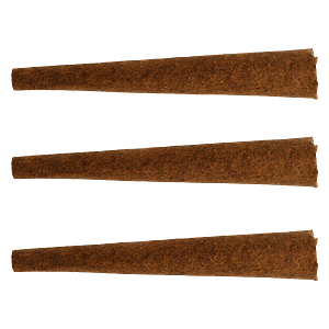 The Loud Plug - Cocolicious Benny Blunto