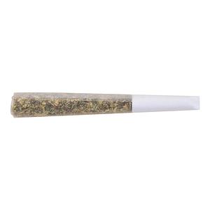 The Loud Plug - Gold Seal Hash Snake Infused Pre Roll