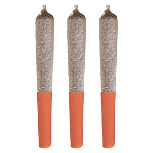 Potluck - Orange Layer Cake Pre Rolls