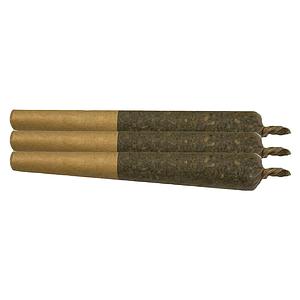 Sheeesh! - Trop Cherry Infused Pre Roll