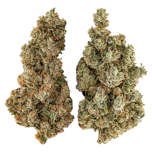 Highly Dutch - Organic Butter Cookies x Organic NYC Juggernaut