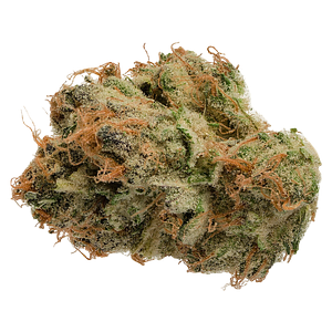 Jonny Chronic - Tropicanna