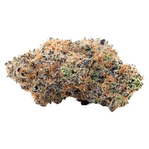 Coterie - Alien Mintz