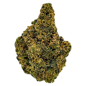 Skosha - Purple Caviar