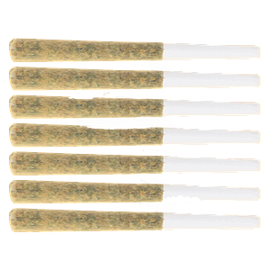 Symphony - Craft Batch Pre-Roll