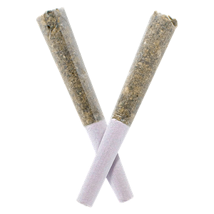 Rosin Heads - Hash Rosin Infused Pre-Rolls