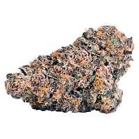 BLK MKT - Rainbow P