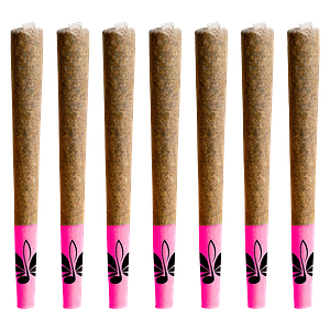 High Note - Black Gas Pre-Roll