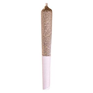 Potluck - Mango Dream Pre Roll image 1