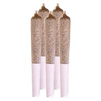 Station House - Northern Lights Pre Roll