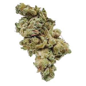 Station House - Gg#4