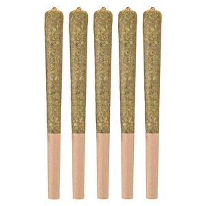 Woody Nelson - Sunset Sherbet Craft Pre Roll