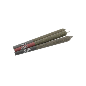 Rocket Factory - Test Flight - Three Stage Pre-Roll