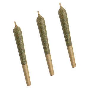 XoPro - Citrus Tsunami Pre-Roll