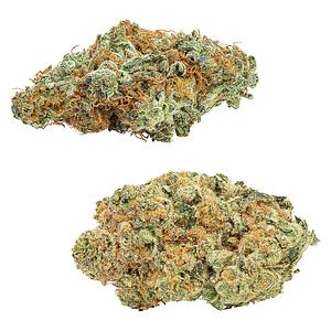 Big Bag O' Buds - CombOz: Amnesia OG & Tropicanna Tangie